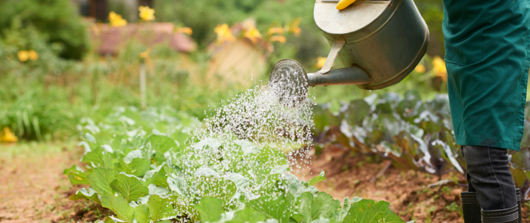 low-maintenance-garden-tips